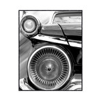 Galaxie 500 (25"L x 19.75"W)