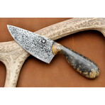 Small Chef Knife (California Buckeye Wood Handle)