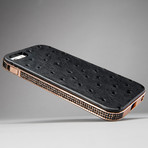 Lily Kwong iPhone 5/5s Case // The Chelsea