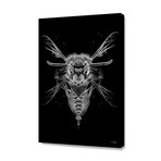 Fantasmagorik Insects 2 (16"W x 24"H x 1.5"D)