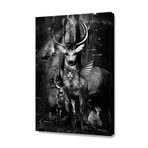 Forest Ii (16"W x 24"H x 1.5"D)