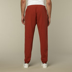 Shaka II Pant // Arabian Spice (XL)