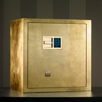 Segreto Foglia Oro // Armoured Chest