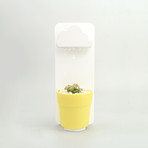 Rainy Pot // Yellow + White