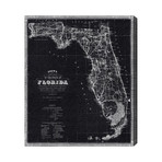 Florida // 1870 (16"W x 20"H)