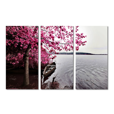 Pink Tree, a Boat and a Lake