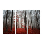 Red Forest Mist