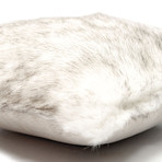 Arctic Fox Pillow (Cover + Insert)