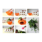 HOH! // Wall Planter + Table Stand