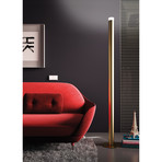 LED Pole Floor Lamp (Black)