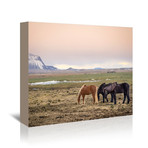 Horse 2 (16"L x 20"H)