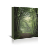 Green Forest 2 (16"L x 20"H)