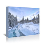 Frozen Forest (16"L x 20"H)