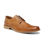 Steve Madden // Forwardd Oxford // Tan (US: 10.5)