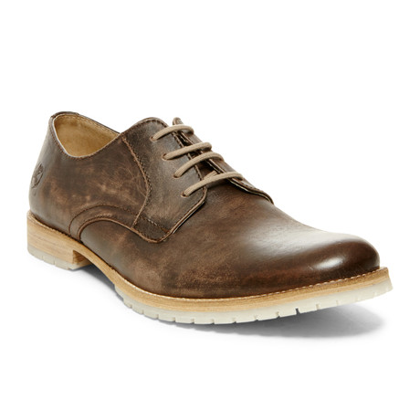 Steve Madden // Fleming Oxford // Brown (US: 8)