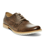 Steve Madden // Fleming Oxford // Brown (US: 9.5)