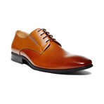 Steve Madden // Kingsten // Tan Leather (US: 8)