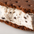 Cookies & Cream Ice Cream Sandwich  // Pack of 5