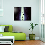 Plastique // Stretched Canvas (24"W x 16"H x 1.5"D)