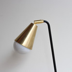 Signature Steel and Brass Desk Lamp