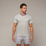 Rib Theorem Tee // Light Grey (XS)