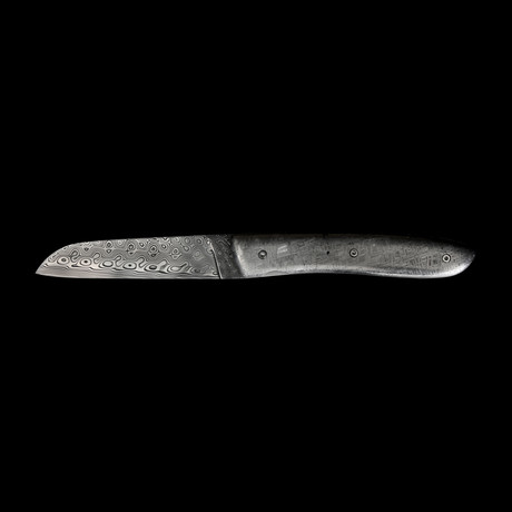 L-08 Muonionalusta Meteorite // Damascus Blade