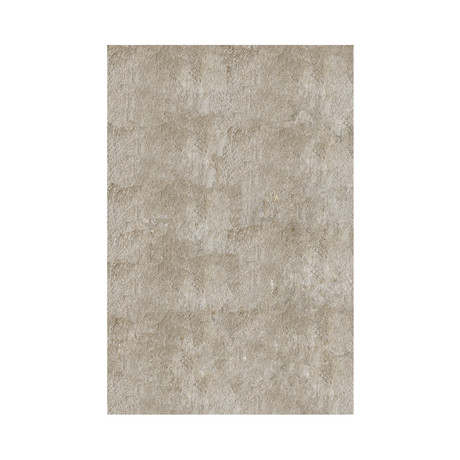 Silky Shag Rug // Champagne (2'-3"L x 8'-0"W)