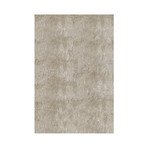 Silky Shag Rug // Champagne (2'-3"L x 8'-0"W)