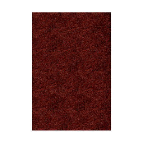 Silky Shag Rug // Brick (5'-0"L x 7'-0"W)