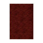 Silky Shag Rug // Brick (5'-0"L x 7'-0"W)