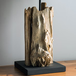 Teak Driftwood Lamp