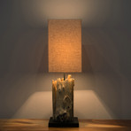 Teak Driftwood Lamp