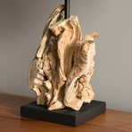 Bleached Driftwood Lamp