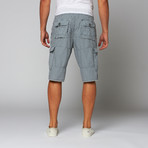 Original Paperbacks // Havasu Short // Light Grey (33)