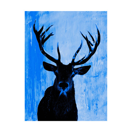 Deer Oh Me // Blue (24" x 30")