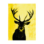 Deer Oh Me // Yellow (24" x 30")