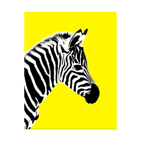 Glowing Zebra // Left (24" x 30")