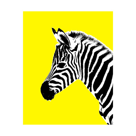 Glowing Zebra // Right (24" x 30")