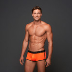 Gigo Sheen Boxer Short // Candy (Small (26"-28"))