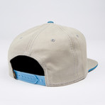 Truck Label Snapback Hat // Grey