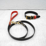 Leather Dog Lead // Jet + Oxblood