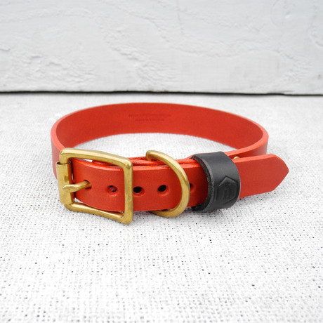 Leather Dog Collar // Oxblood + Jet (Small)