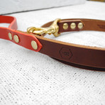 Leather Dog Lead // Chestnut + Oxblood