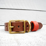 Leather Dog Collar // Chestnut + Oxblood (Small)