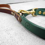 Leather Dog Lead // Hunter Green + Chestnut