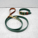 Leather Dog Lead // Hunter Green + Chestnut