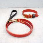 Collar & Leash Set // Oxblood + Jet (Small)