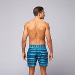 Aquarela Swim Short // Blue (XL)