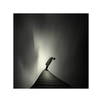 Vertigo (12"L x 12"H)