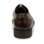 Kern Captoe Oxford // Brown (US: 10)